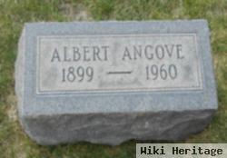 Albert Angove