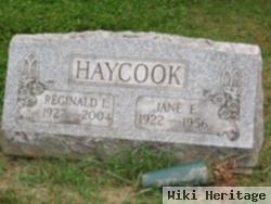 Jane Elizabeth Davidson Haycook