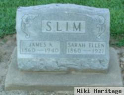 Sarah Ellen Tittle Slim