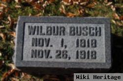 Wilbur Busch