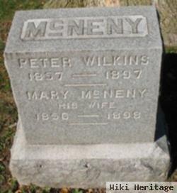 Mary Mcneny Wilkins