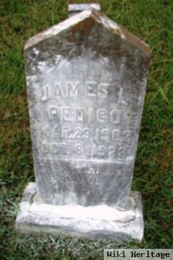 James L Pedigo