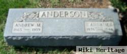 Andrew M Anderson