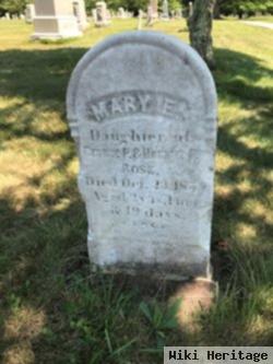 Mary L. Rose