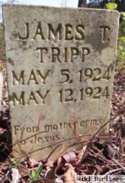 James T. Tripp