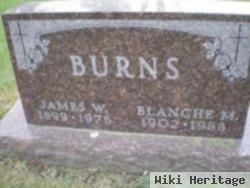 James W Burns