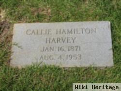 Callie Hamilton Harvey