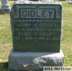 Eliza Jane Mcalpin Gidley