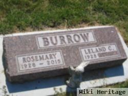 Rosemary Osborne Burrow