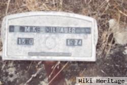 Mike Milbauer