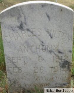 Charles Milton Anthony