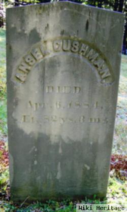 Ansel Cushman