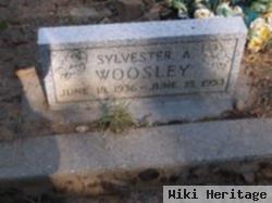 Sylvester A Woolsey