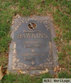 Charles P Hawkins