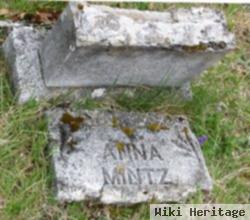 Anna Elizabeth Greer Mintz