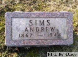 Andrew Sims