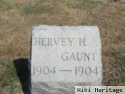 Hervey H. Gaunt