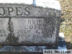 Carrie M Copes