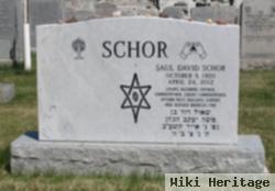 Saul David Schor