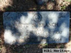 Metz N Branch