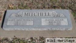 David Allen Mitchell