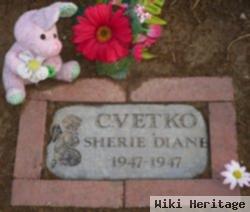 Sherie Diane Cvetko