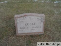 David F Koske