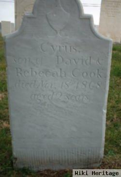 Cyrus Cook