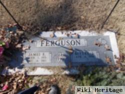 James E Ferguson, Sr