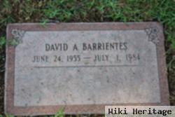 David A Barrientes