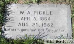 William Amos Pickle