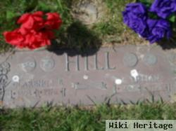 Mrs Laura Lillian Northrup Hill