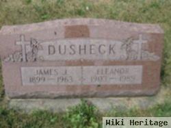 Eleanor Ann Panoch Dusheck