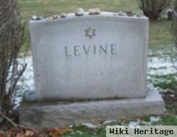 Albert L Levine