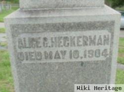 Alice G Heckerman