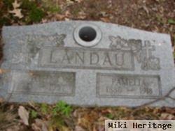 Pamelia Fortune Landau