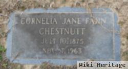 Cornelia Jane Fann Chestnutt