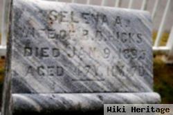 Selena A. Hicks