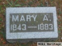 Mary Ann Ware