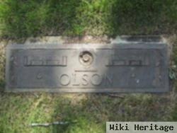 Dorothy A Olson