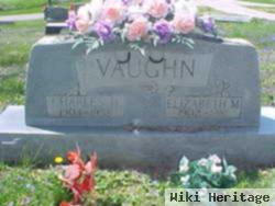 Elizabeth M Vaughn