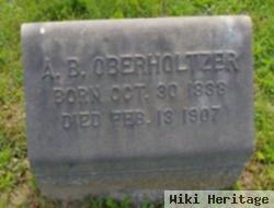 Abraham B Oberholtzer