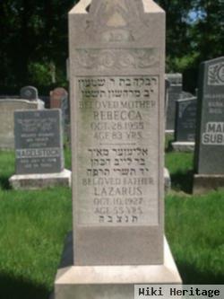 Rebecca Ludwig Goldstein