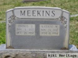 Katherine Winchester Carlisle Meekins