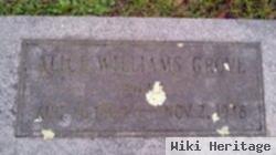 Alice Williams Grove