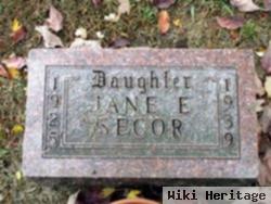 Jane E. Secor