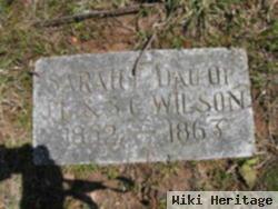 Sarah E. Wilson