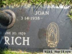 Joan Lavrich