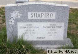 Abraham Shapiro