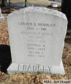 Luther Samuel Bradley